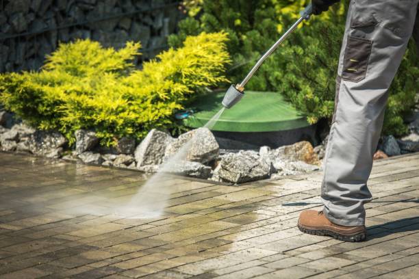 Best Pre-Holiday Cleaning  in Converse, TX