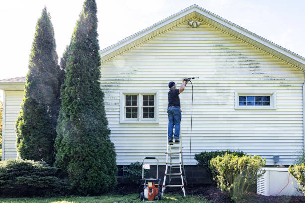 Best House Exterior Washing  in Converse, TX